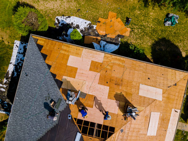 Professional Roofing Contractor in Shandon, CA