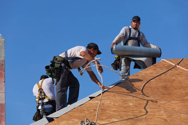 Roof Gutter Cleaning in Shandon, CA